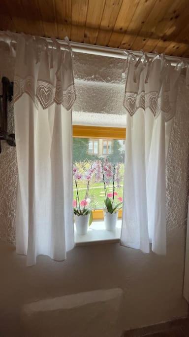 Charmantes Cottage Appartement Pottelsdorf المظهر الخارجي الصورة